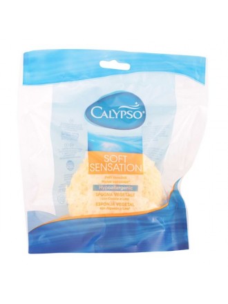 Body Sponge Calypso Calypso