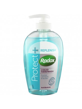 Sanitizing Hand Gel Protect+ Replenish Radox (250 ml)