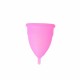 Menstrual Cup BIOGYNE Large (1)